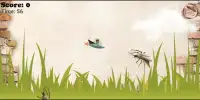 Crush Flying Insects Screen Shot 4