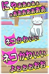 ねこじゃらせぬ！　ネコをじゃらして写真を撮る簡単ゲーム Screen Shot 0