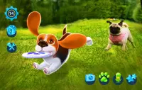 Tamadog - Pet Köpek oyunları Screen Shot 10