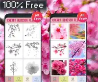 Cherry Blossom Flower Color By Number-Pixel Art Screen Shot 1