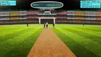 Cricket Screen Shot 0