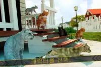 🐾 고양이 달리기 애완 동물 게임 어린이 경주 🐾 Screen Shot 3