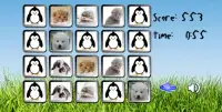 Match the Pets (memory games) Screen Shot 0