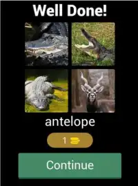 Guess The Different Animals Screen Shot 7