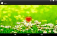 Daisy - the love o meter game Screen Shot 5