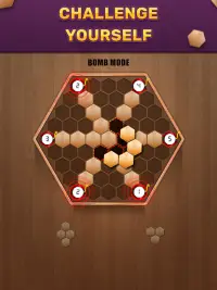 Wooden 100 Block Puzzle - Classic Wood Brain Game Screen Shot 9