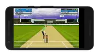 Cricket Mini Simulator Screen Shot 3