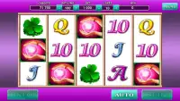 Lucky Lady Fun Slot Screen Shot 3