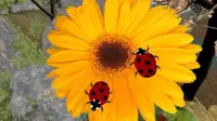 Ladybug simulator - animal game Screen Shot 0