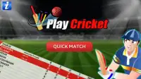 Play Cricket Screen Shot 0