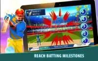 Cricket - The Legend Batsman Screen Shot 2