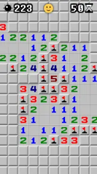 Minesweeper Master Screen Shot 1