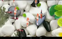 Koi Fish Live Wallpaper 3D Screen Shot 1