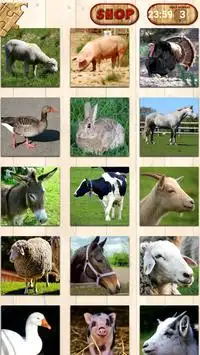Farm Animal Puzzles For Kids Screen Shot 5