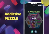 Hexa Go - Hexagon Puzzle Games Screen Shot 3