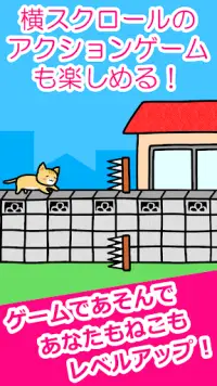 ねことあそぶ - 癒しのにゃんこ育成ゲーム Screen Shot 3