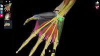 Anatomy Learning - Atlas d'anatomie 3D Screen Shot 11