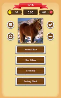 Horse Coat Colors Quiz Screen Shot 11