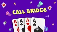 Call Bridge Screen Shot 0