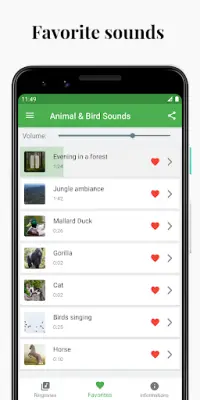 Sonidos de aves y animales Screen Shot 4
