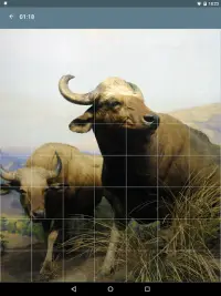 Puzzle: Animaux Screen Shot 17