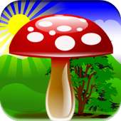 Mushroom Games Free