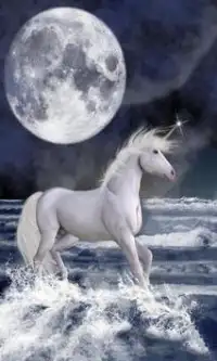 Unicorn Puzzle Screen Shot 0