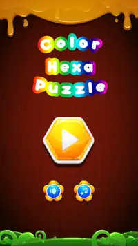 Color Hexa Puzzle Screen Shot 0