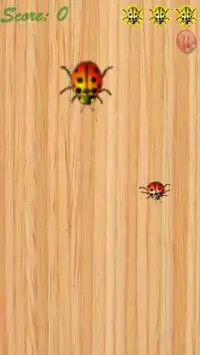 LadyBug Smasher Screen Shot 5