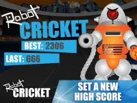 Robot Cricket Screen Shot 11