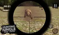 Hunting Jungle – 2016 Sniper Screen Shot 4