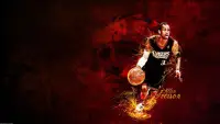 Fondo de pantalla de baloncesto HD Screen Shot 6