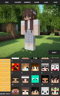 Custom Skin Creator Minecraft Screen Shot 9
