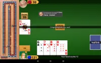 Cribbage Pro Screen Shot 12