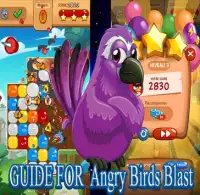 Guide for Angry Birds Blast Screen Shot 0