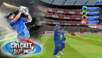 Kriket Oyna 3D: Game Canlı Screen Shot 2
