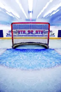Game Ice Hockey Pro 2016 Screen Shot 3