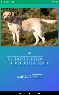 Dog Quiz: Guess the Breed — Game, Pictures, Test Screen Shot 17