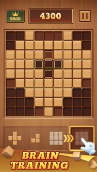 Wood Block 99 - Sudoku Puzzle Screen Shot 1