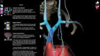 Anatomy Learning - Atlas d'anatomie 3D Screen Shot 13