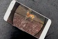 Animal Hunter sniper 3D Screen Shot 1