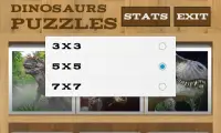 Dinosaur Puzzles Screen Shot 2
