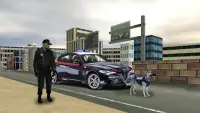 Crime City Police Sim Screen Shot 4