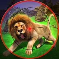 Chasse Aux Animaux 3d