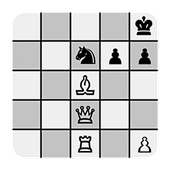 Chess rating