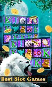 Lion 777 Fire Jackpot - Slots Mania Dom Free Spins Screen Shot 0