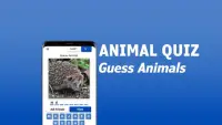 Animal Quiz - Guess Animals Screen Shot 0