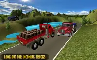 Crazy 3D Truck Simulator Screen Shot 1