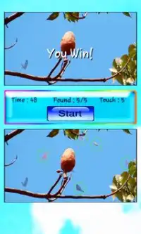 Find Differences Birds Screen Shot 4