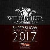 The 2017 Sheep Show